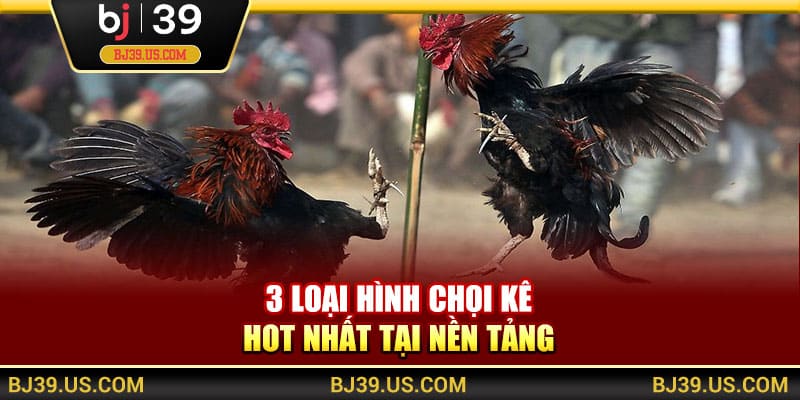 3 loại hình chọi kê hot nhất tại nền tảng