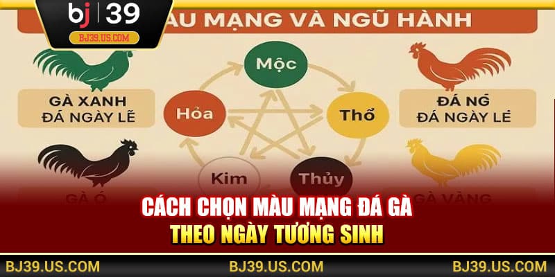 Cách chọn màu mạng đá gà theo ngày tương sinh
