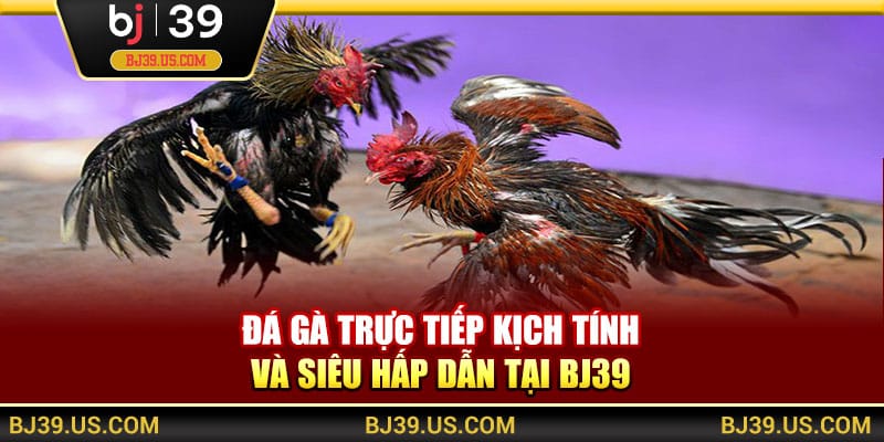 Đá gà trực tiếp