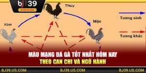 Màu mạng đá gà